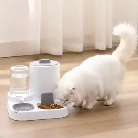 Ene Ushqimi per Mace  Uje + Ushqim - ShikoCmimin