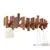 Varese Rrobash Dru ne Mure Piano Stylish 10 Hooks 65cm - ShikoCmimin